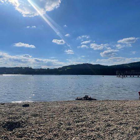 Apartman 511 Lipno nad Vltavou Eksteriør bilde